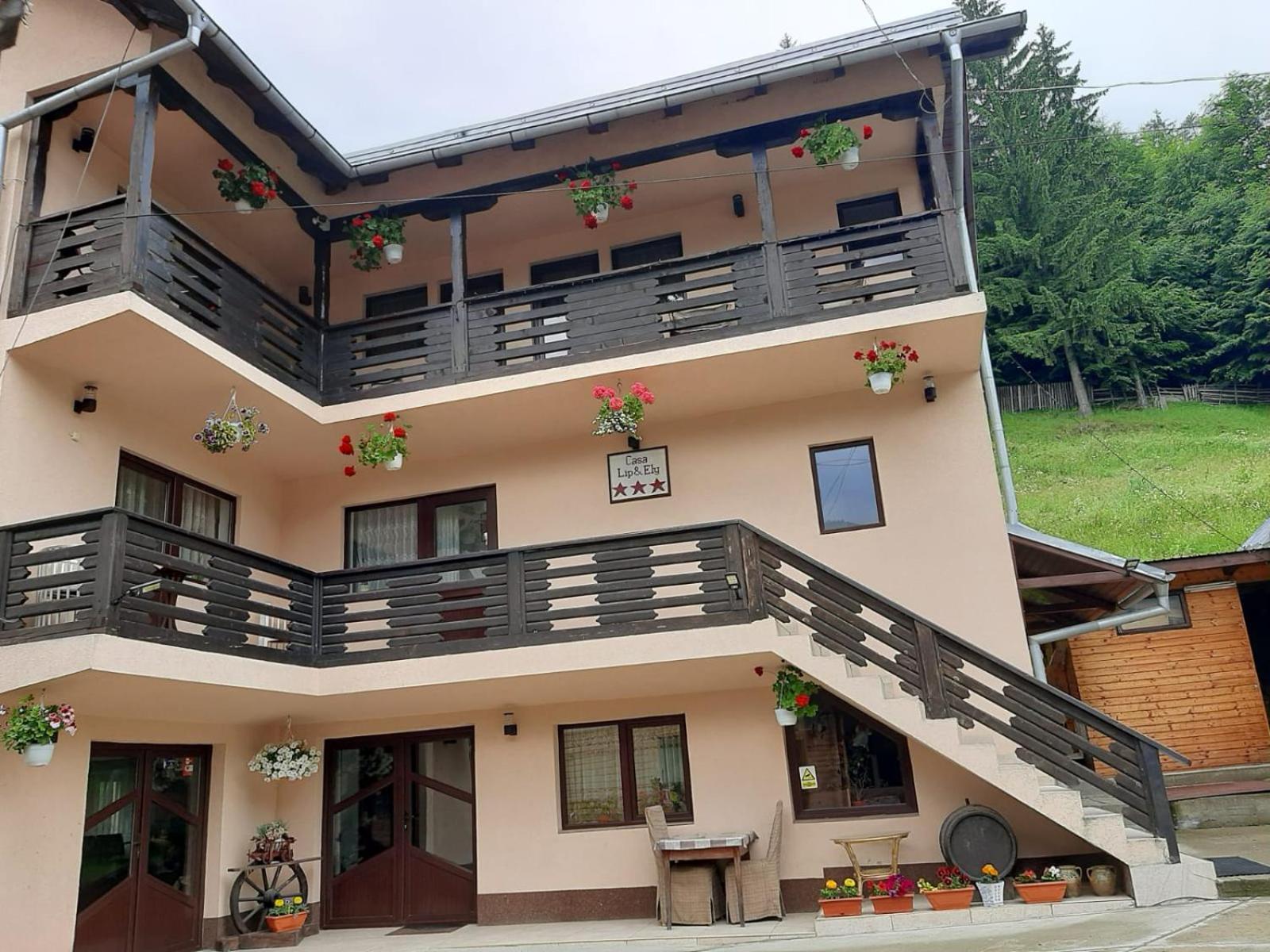 Lip Si Ely Hotel Dîmbovicioara Екстериор снимка