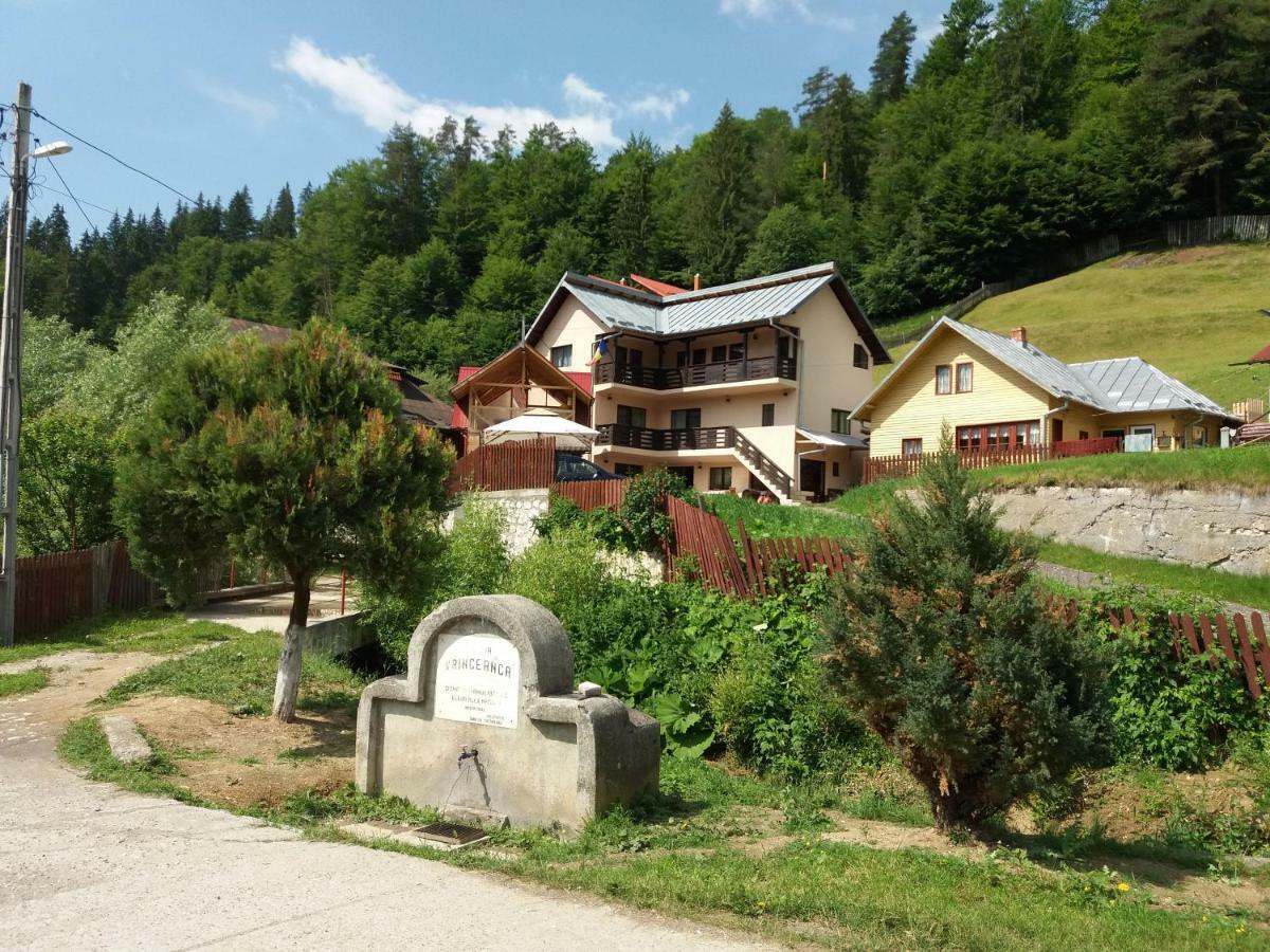Lip Si Ely Hotel Dîmbovicioara Екстериор снимка