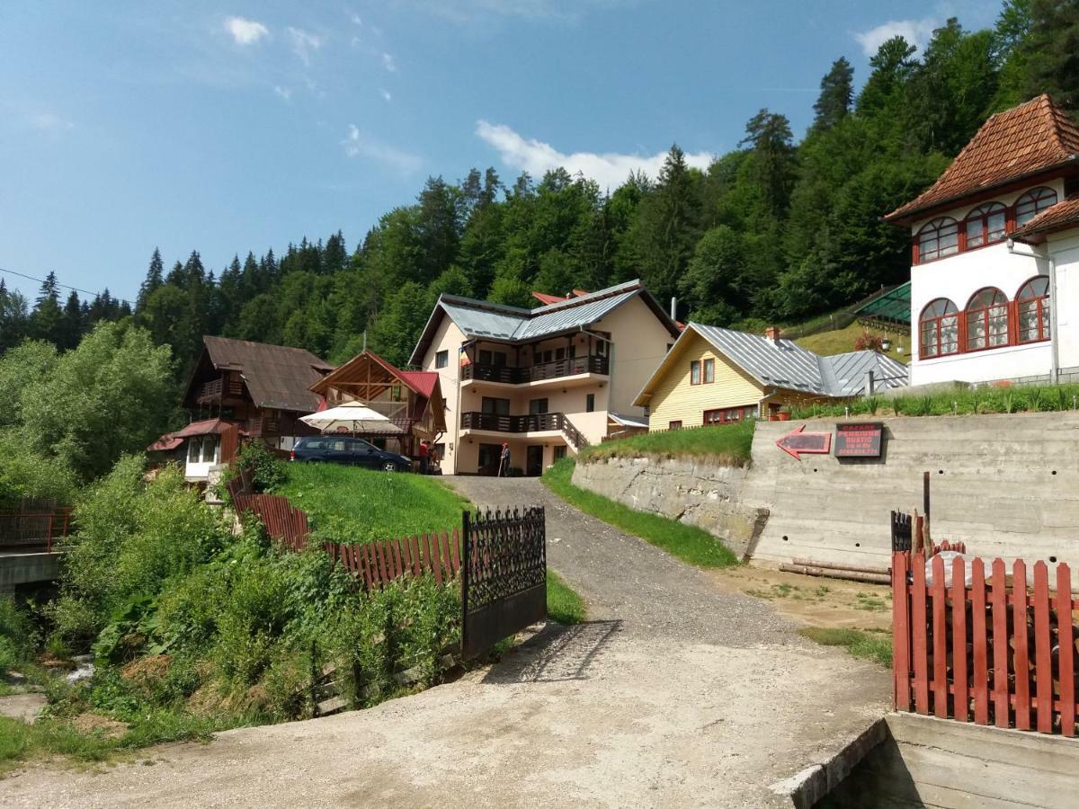 Lip Si Ely Hotel Dîmbovicioara Екстериор снимка