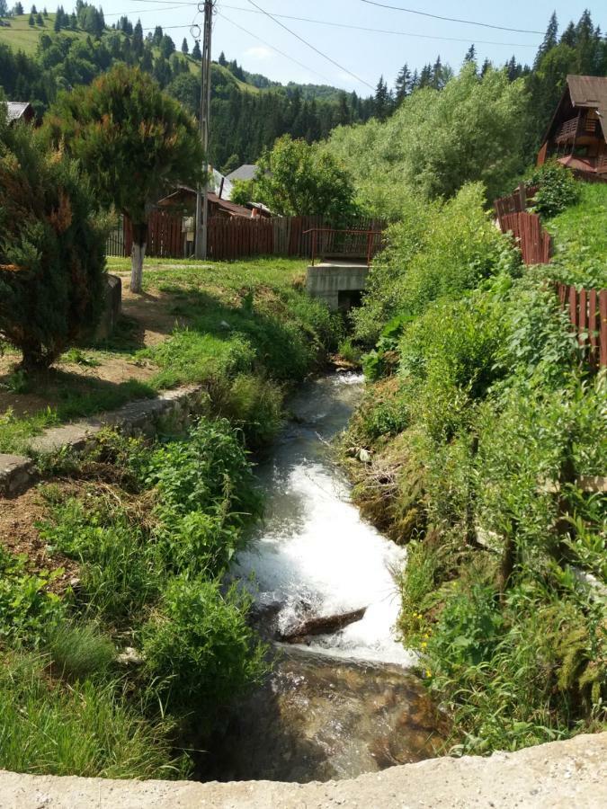 Lip Si Ely Hotel Dîmbovicioara Екстериор снимка